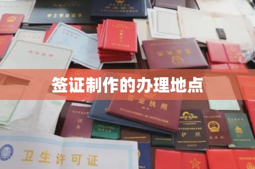 西林签证制作的办理地点