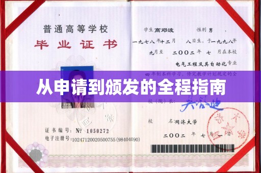 西林从申请到颁发的全程指南