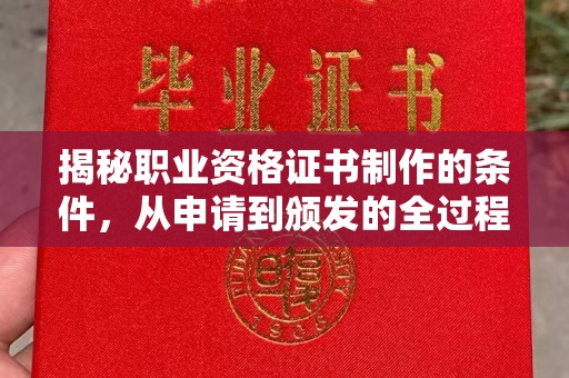 西林揭秘职业资格证书制作的条件，从申请到颁发的全过程
