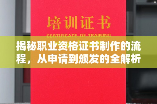 西林揭秘职业资格证书制作的流程，从申请到颁发的全解析
