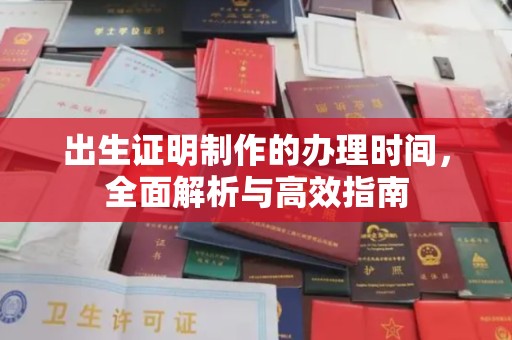 西林出生证明制作的办理时间，全面解析与高效指南
