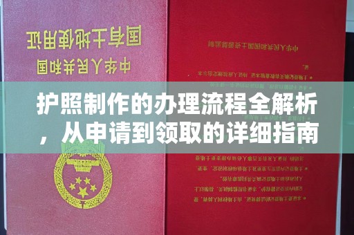 西林护照制作的办理流程全解析，从申请到领取的详细指南