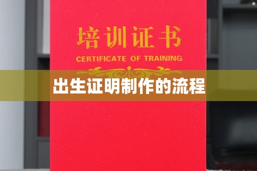 西林出生证明制作的流程