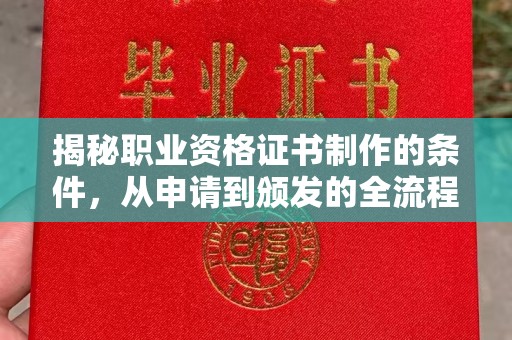 西林揭秘职业资格证书制作的条件，从申请到颁发的全流程解析