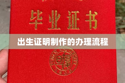 西林出生证明制作的办理流程