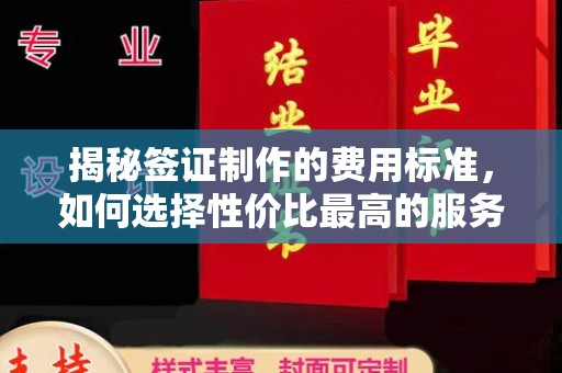 西林揭秘签证制作的费用标准，如何选择性价比最高的服务？