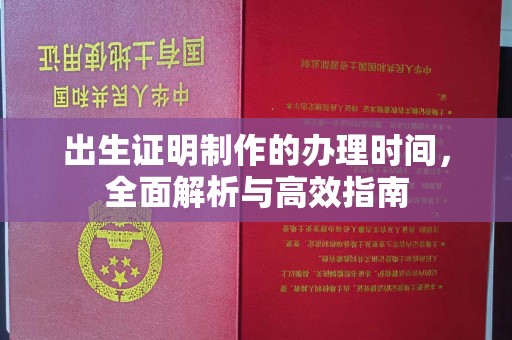 西林出生证明制作的办理时间，全面解析与高效指南