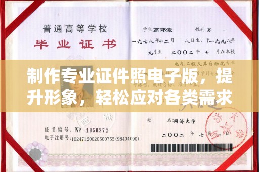 西林制作专业证件照电子版，提升形象，轻松应对各类需求