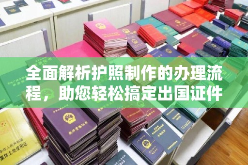 西林全面解析护照制作的办理流程，助您轻松搞定出国证件