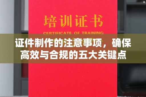 西林证件制作的注意事项，确保高效与合规的五大关键点
