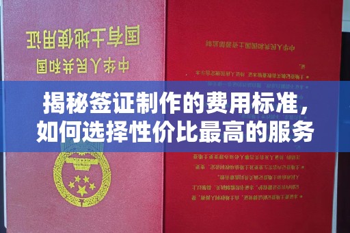 西林揭秘签证制作的费用标准，如何选择性价比最高的服务？