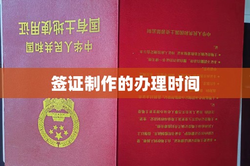 西林签证制作的办理时间