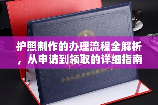 西林护照制作的办理流程全解析，从申请到领取的详细指南