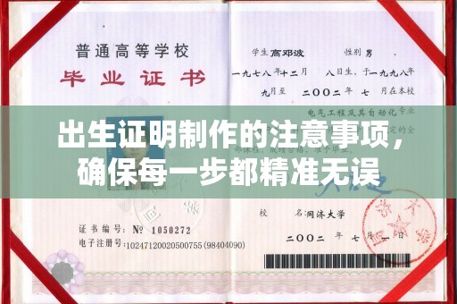 西林出生证明制作的注意事项，确保每一步都精准无误