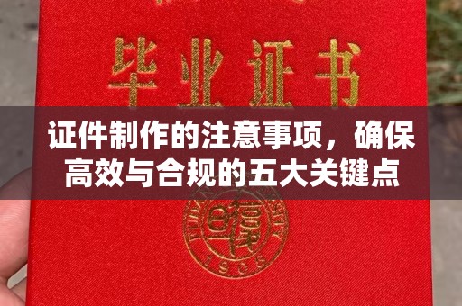 西林证件制作的注意事项，确保高效与合规的五大关键点