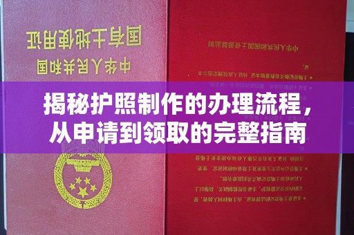 西林揭秘护照制作的办理流程，从申请到领取的完整指南