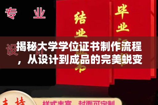 西林揭秘大学学位证书制作流程，从设计到成品的完美蜕变
