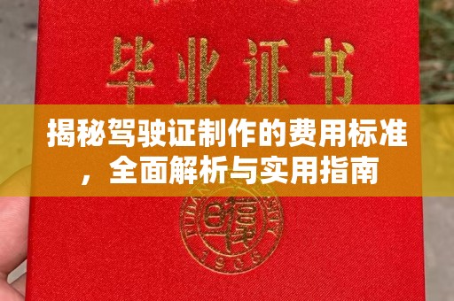 西林揭秘驾驶证制作的费用标准，全面解析与实用指南