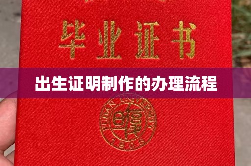 西林出生证明制作的办理流程