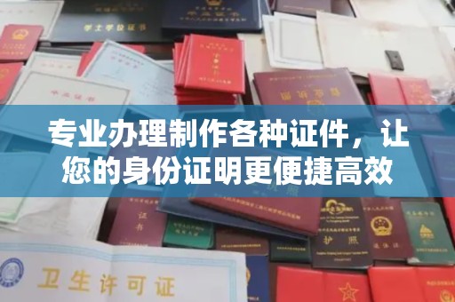 西林专业办理制作各种证件，让您的身份证明更便捷高效