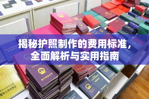 西林揭秘护照制作的费用标准，全面解析与实用指南