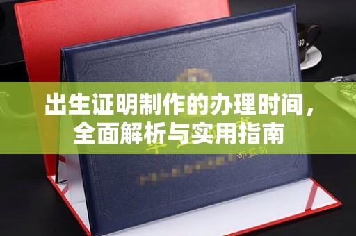 西林出生证明制作的办理时间，全面解析与实用指南