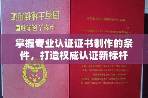 西林掌握专业认证证书制作的条件，打造权威认证新标杆