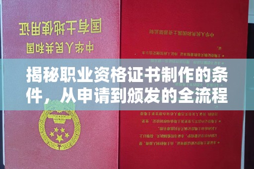 西林揭秘职业资格证书制作的条件，从申请到颁发的全流程解析