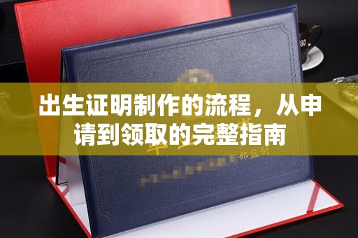 西林出生证明制作的流程，从申请到领取的完整指南