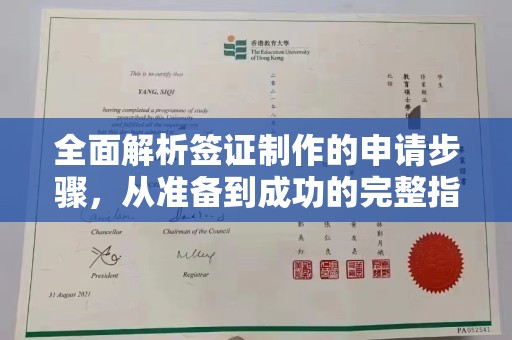 西林全面解析签证制作的申请步骤，从准备到成功的完整指南