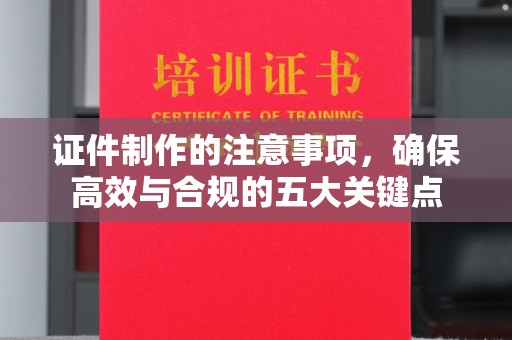 西林证件制作的注意事项，确保高效与合规的五大关键点