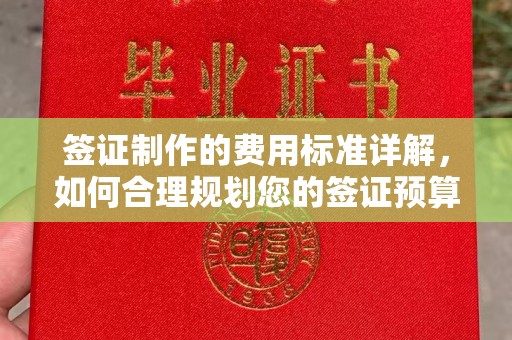西林签证制作的费用标准详解，如何合理规划您的签证预算