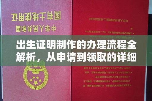 西林出生证明制作的办理流程全解析，从申请到领取的详细指南
