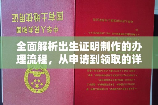 西林全面解析出生证明制作的办理流程，从申请到领取的详细指南